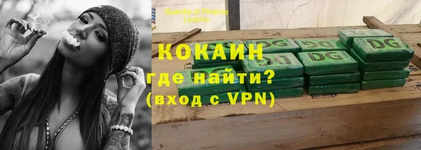 apvp Бородино