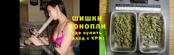 прущий лед Вяземский