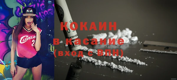 прущий лед Вяземский