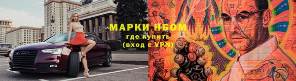 прущий лед Вяземский